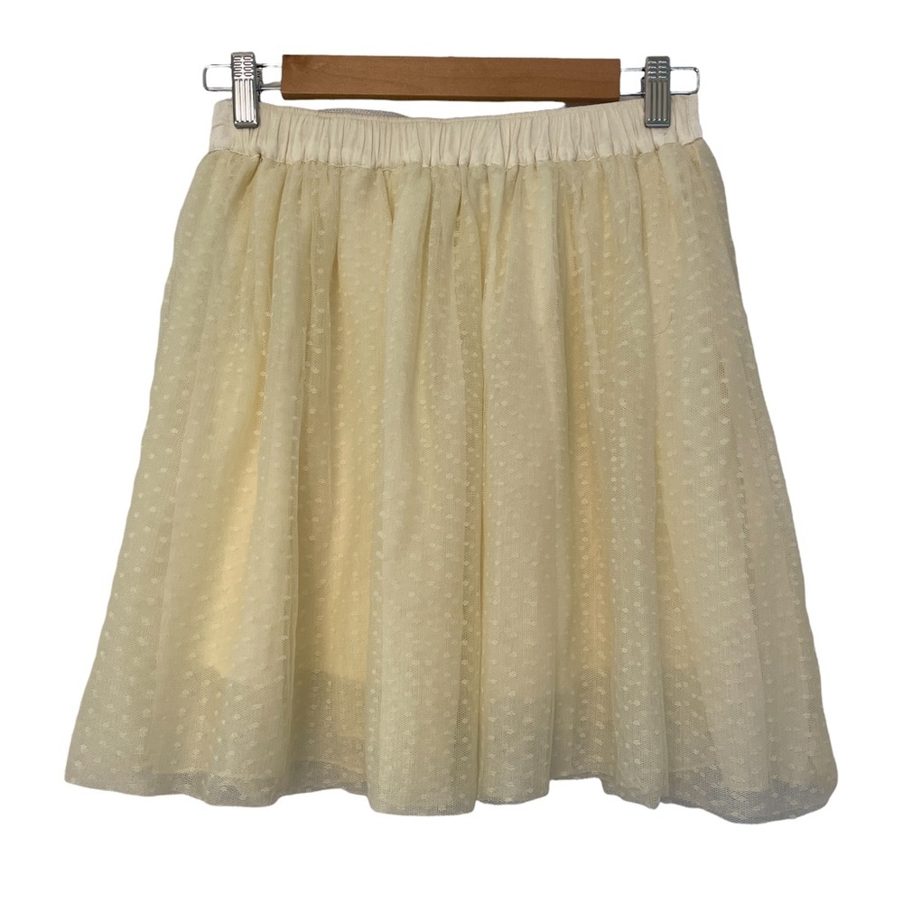 Abercrombie & Fitch Tulle and Chiffon Skirt